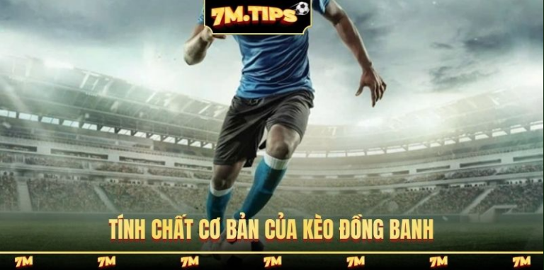 7M Football Preview – Expert Match Analysis Today